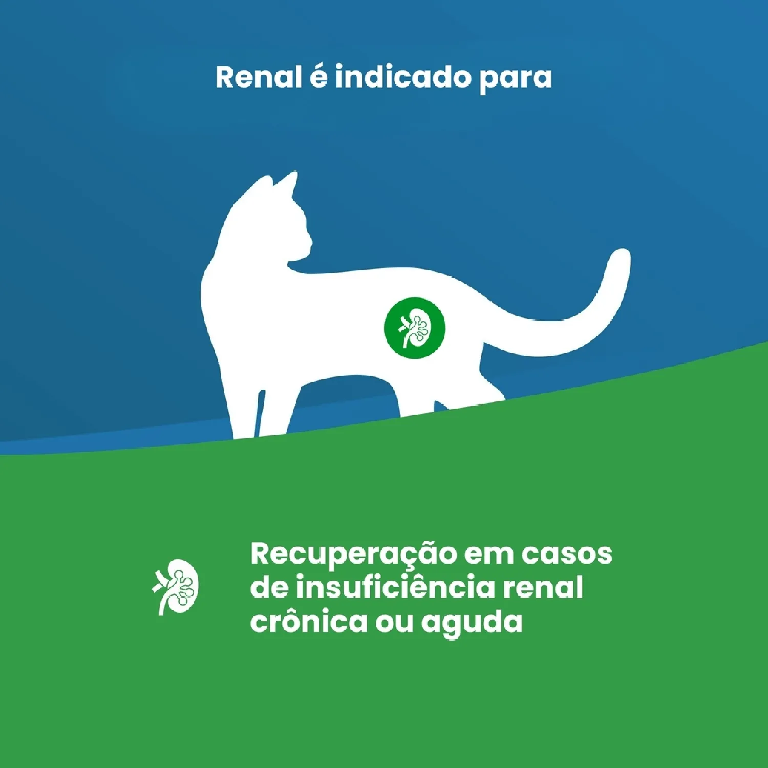 Racao Vet Life Natural Feline Renal 2